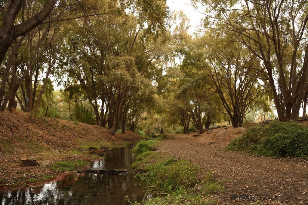 Isla de Maipo